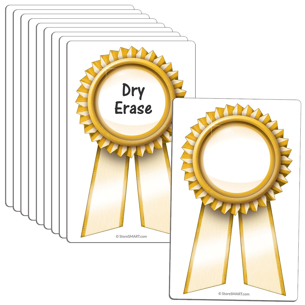 StoreSMART 3 1/2” x 5 1/2” Magnetic Award Ribbons Variety 12 Pack